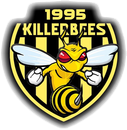 Skanderborg Killerbees